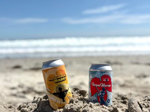 It might not be the normal hot summer day today, but that doesn’t mean you can’t grab a couple beers and still enjoy! ☀️ 

#willowrockbrewingcompany #craftbeer #drinklocal #CNY #syracuse #cicero #WRBC #wednesdayvibes #beerstagram